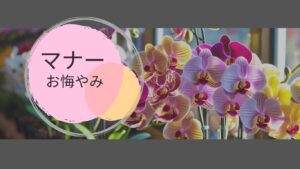 胡蝶蘭お悔やみ