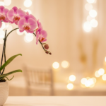 胡蝶蘭をお祝いにするのはいつから?歴史的背景と贈る際のマナーを解説