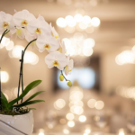 取引先の昇進祝いは現金でいい?マナーと相場、贈答品を解説