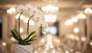 周年の祝いを常連が贈るなら胡蝶蘭!マナーと選び方