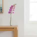 胡蝶蘭を一輪だけでも大丈夫!贈り物や自分へのご褒美に