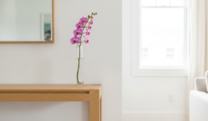 胡蝶蘭を一輪だけでも大丈夫！贈り物や自分へのご褒美に