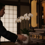 胡蝶蘭の意味でのお悔やみ｜花言葉や相場、贈る際のマナーを解説