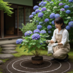 母の日の紫陽花の地植え完全ガイド|鉢植えから庭へのお手入れ