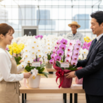 胡蝶蘭の産地を徹底解説!品質や価格、選び方のコツまで紹介