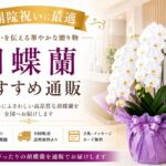 開院祝い胡蝶蘭おすすめ通販2選｜医療現場で失敗しない選び方と相場を解説
