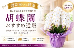 開院祝い胡蝶蘭おすすめ通販2選｜医療現場で失敗しない選び方と相場を解説