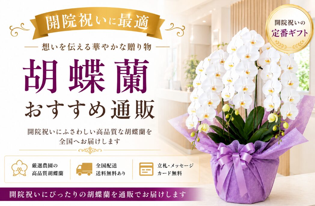 開院祝い胡蝶蘭おすすめ通販2選｜医療現場で失敗しない選び方と相場を解説