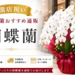 開店祝い胡蝶蘭おすすめ通販3選【2026年最新版】｜担当者が失敗しない厳選ショップ