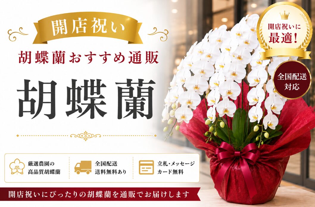 開店祝い胡蝶蘭おすすめ通販3選【2026年最新版】|担当者が失敗しない厳選ショップ