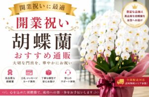 開業祝い胡蝶蘭おすすめ通販2選|開店祝いとの違い・相場・色の選び方を解説