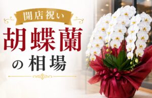 開店祝い胡蝶蘭の相場はいくら?関係性別の正解金額と選び方を解説