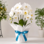 法人ギフトは胡蝶蘭がおすすめ？取引先に贈る花と他のギフトを比較